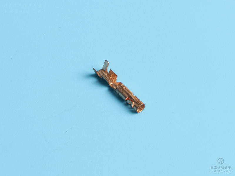 2.5雙腳母端（定制），黃銅，原色，單粒（OM18-01）